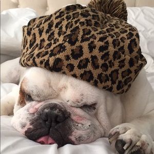 Meet your Posher, Coty